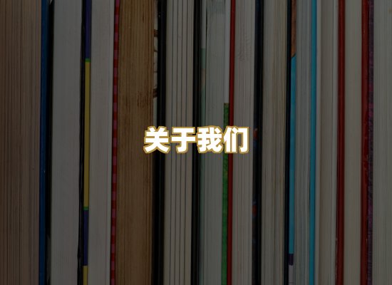 关于我们